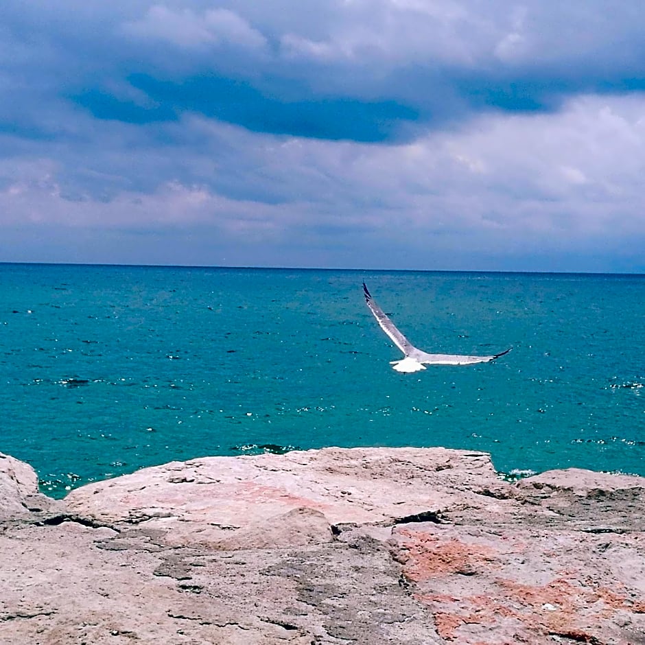 B&B Dimora di Traiano