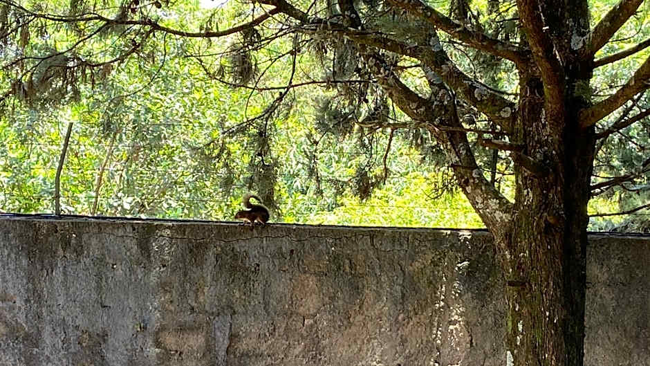 Casa de Campo - Condomínio Arco Íris