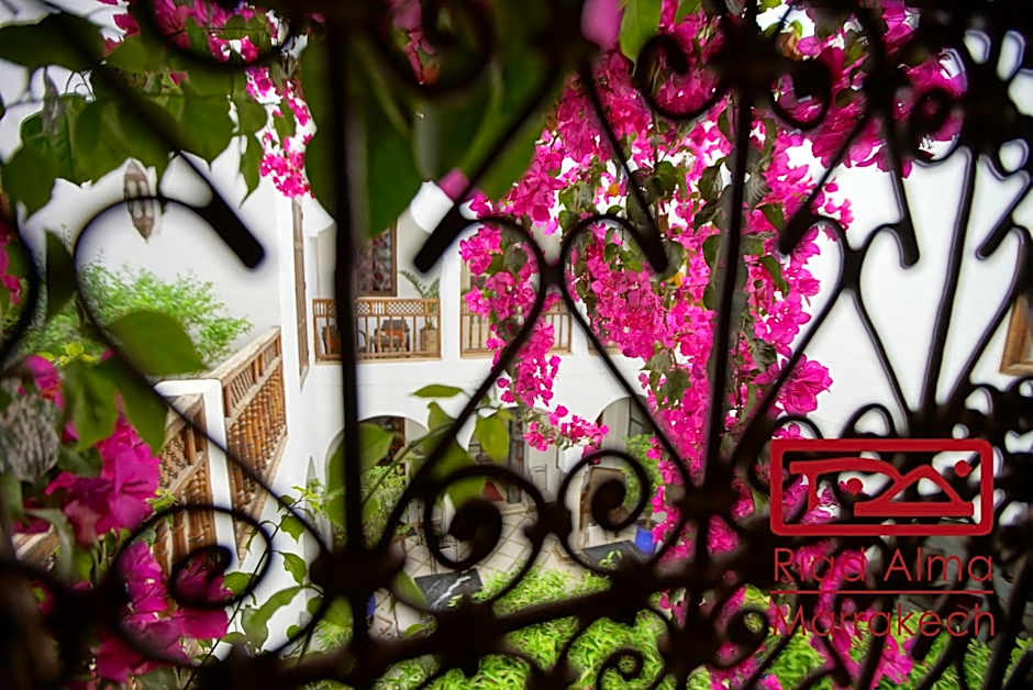 Riad Alma