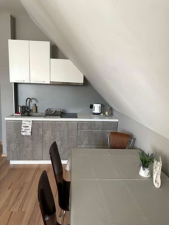 Willa Kosówka - Frydman