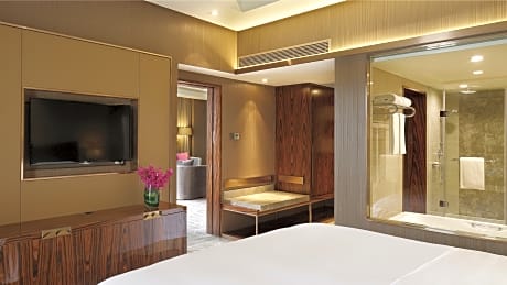 1 Bedroom Suite Lounge Access