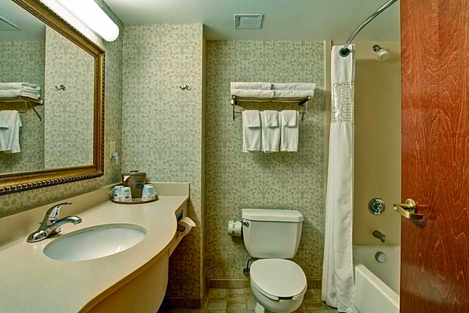Hampton Inn By Hilton & Suites Leesburg