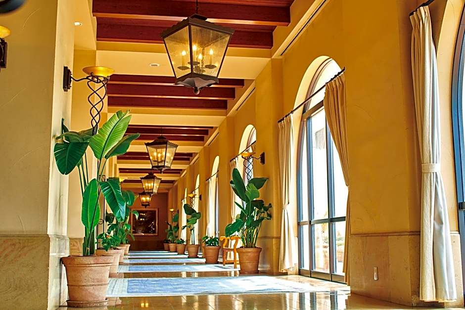 Hotel Nikko Alivila