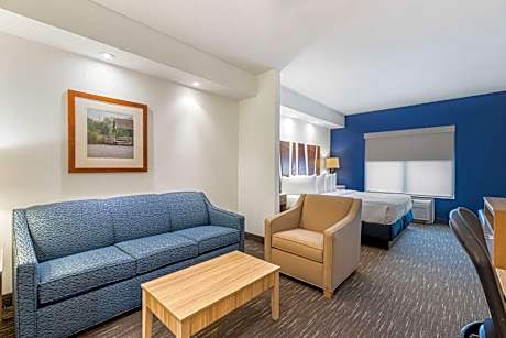 King Suite with Sofa Bed and Wet Bar