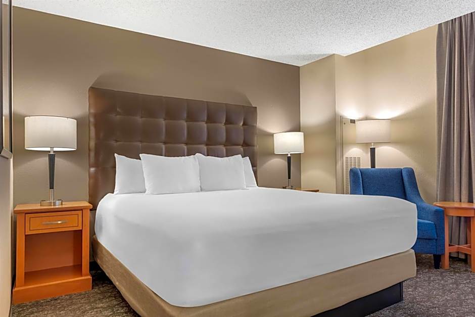 Drury Plaza Hotel St. Louis Union Station