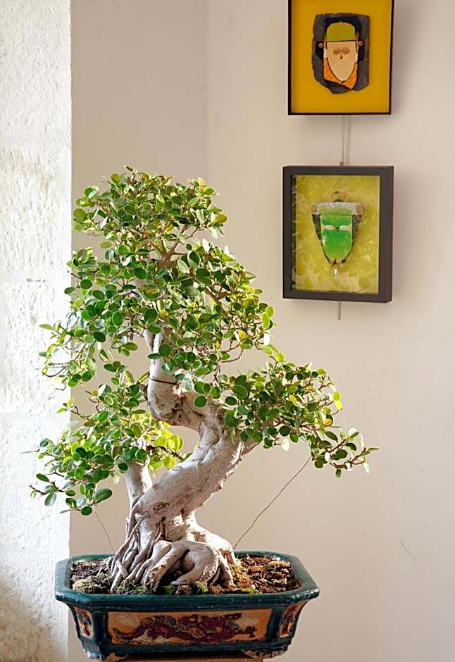 La Porte Rouge - The Red Door Inn