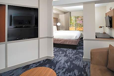 Executive Suite, 1 King, Sofa bed