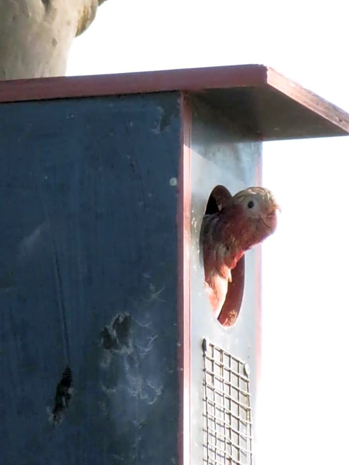 Mala Retreat Chardonnay Studio Immaculate and Comfortable