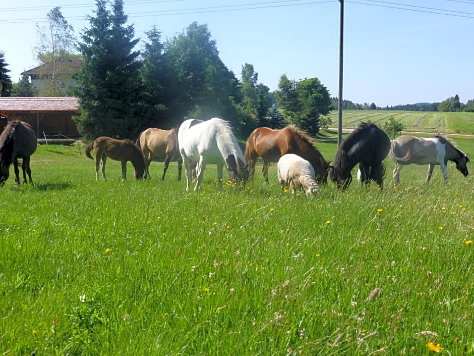 Landgasthof Zum Schwanen