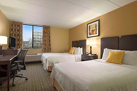 Executive Double Room with Two Double Beds - Non-Smoking