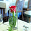 Hotel Gasthaus Appel Krug