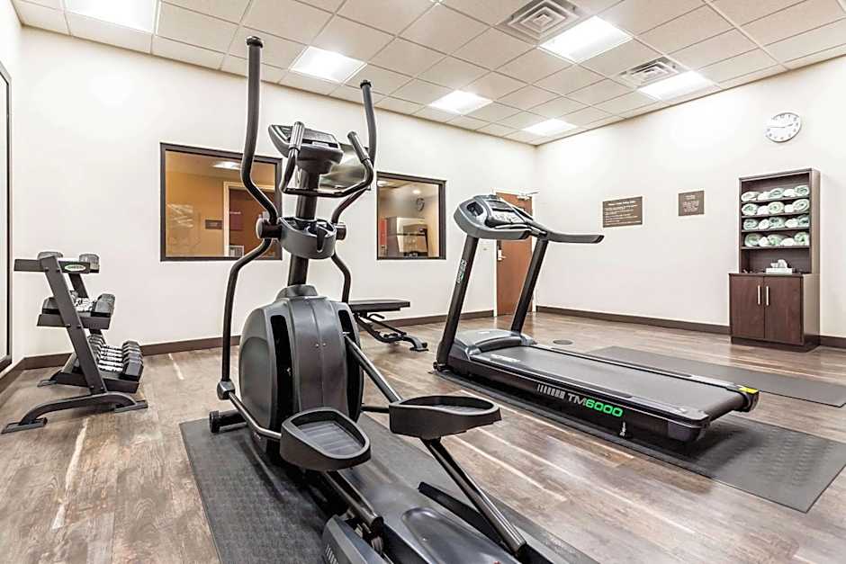 Comfort Suites University