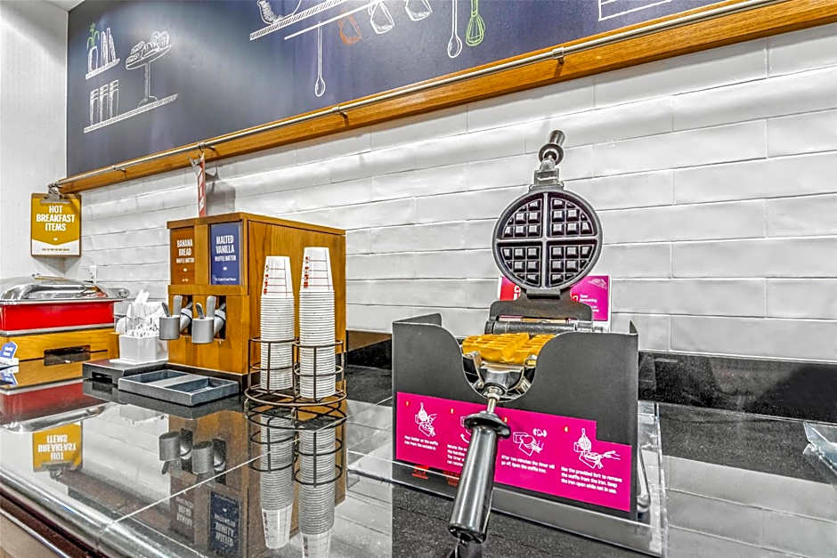 Hampton Inn By Hilton And Suites Detroit/Airport-Romulus