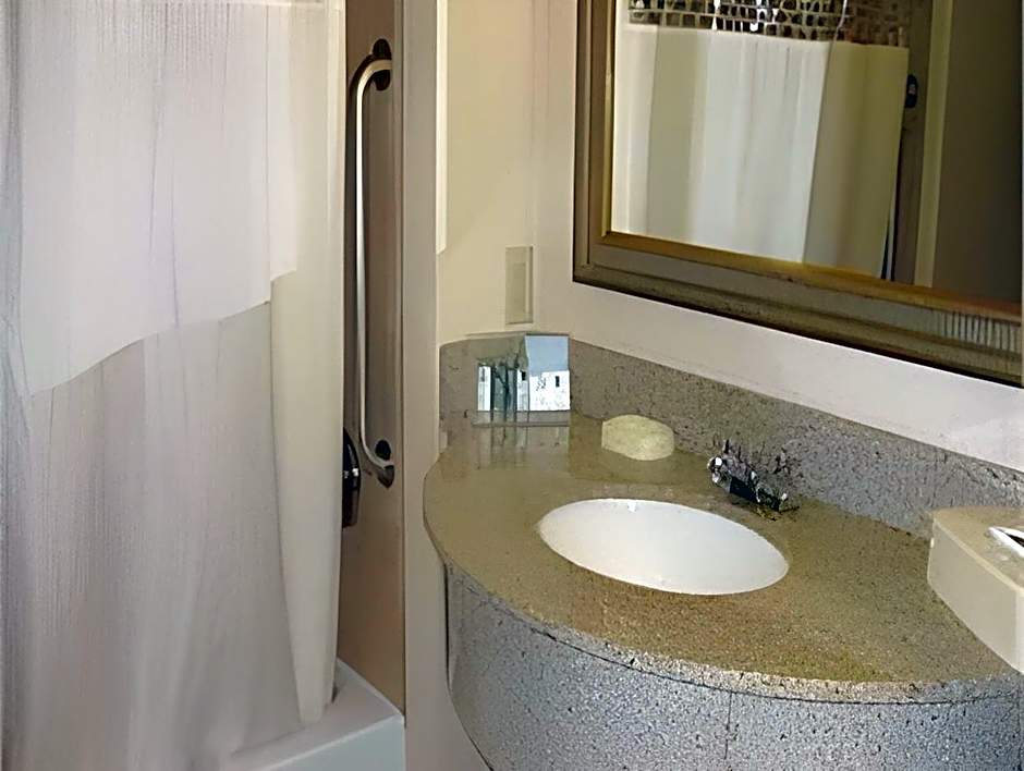 Photo 1 of 1 of Premium 1 King Bed, Hearing/Mobility Accessible, Bathtub