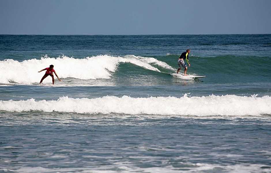 Port Waikato Holiday Park