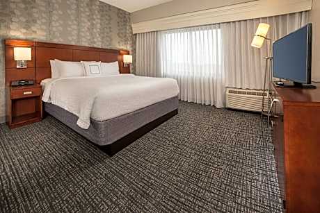 1 Bedroom 2 room Suite, 1 King, Sofa bed