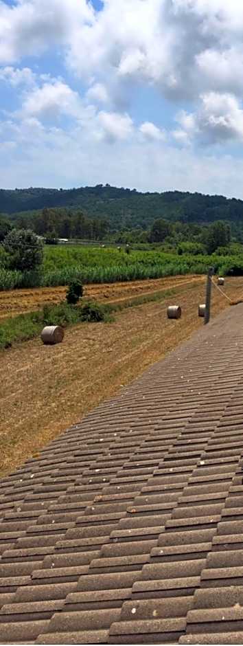 Albergo Ristorante Bar Pizzeria La Lanterna