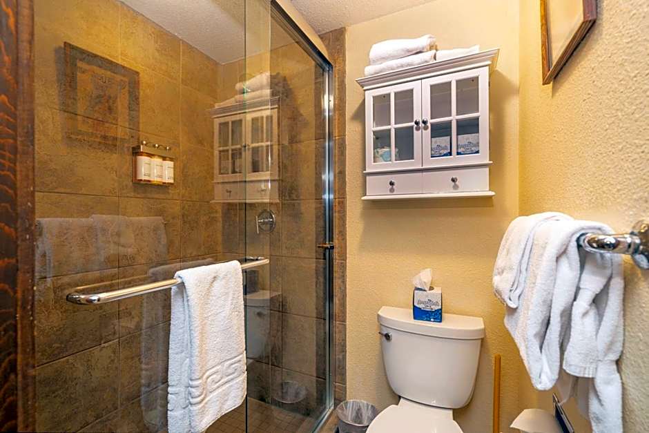 Manitou Lodge 10 by Alpine Lodging Telluride
