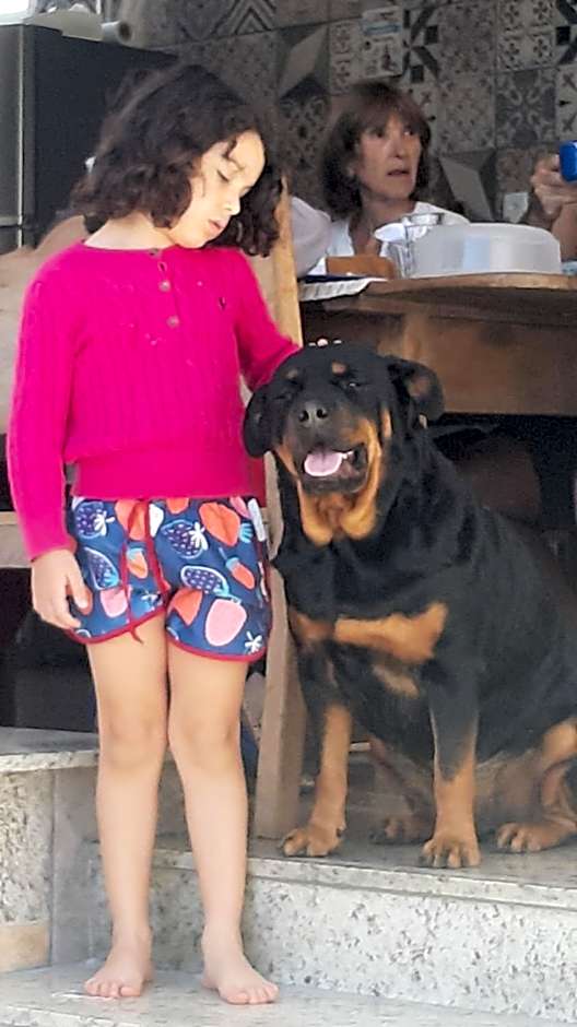 Casa Espetacular no Centro de Diamantina