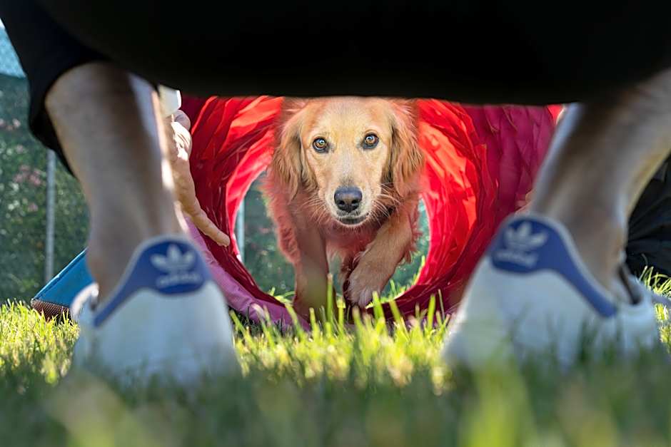 Club del Sole Romagna Family Resort