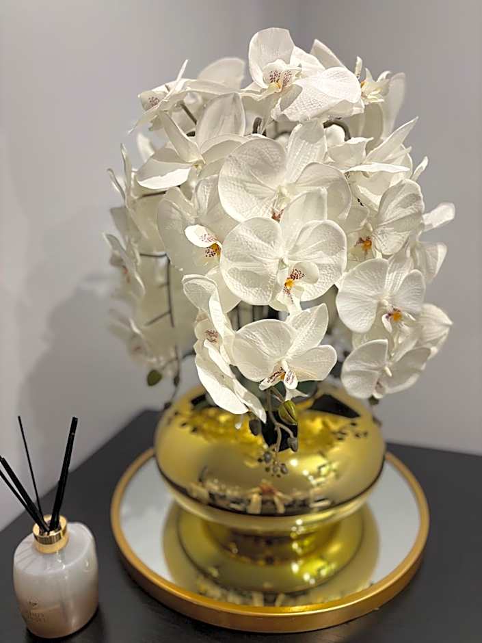 Hotel Riviera Renovated