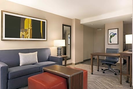 King Studio Suite - Mobility Access/Non-Smoking