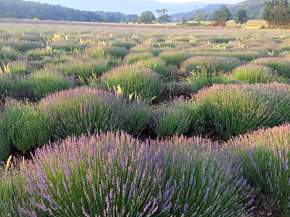 Le Jas du Mont Ventoux