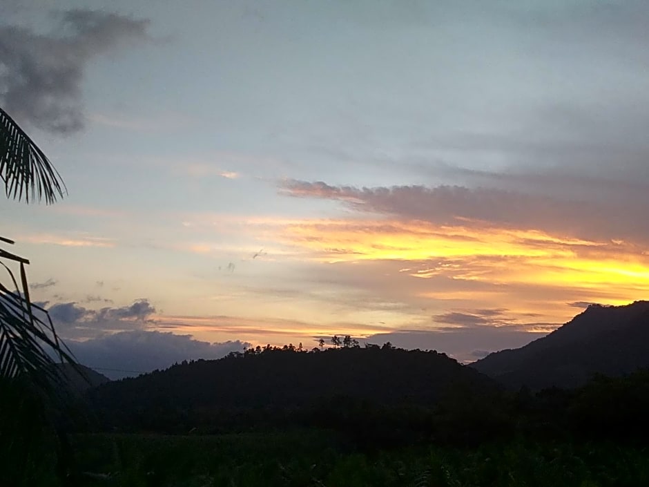 Ada Verde