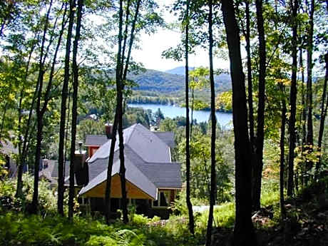 Gorgeous Peaceful Cottage on the Forest