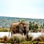 Shambala Private Game Reserve