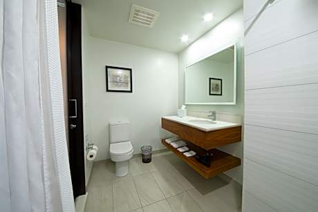 1 King Bed, Nonsmoking