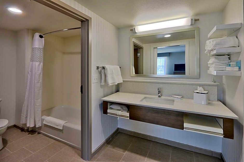 Hampton Inn By Hilton & Suites Artesia