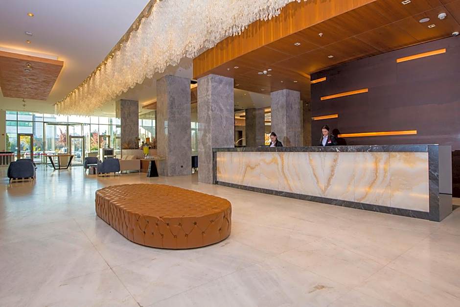 Crowne Plaza Kayseri By IHG