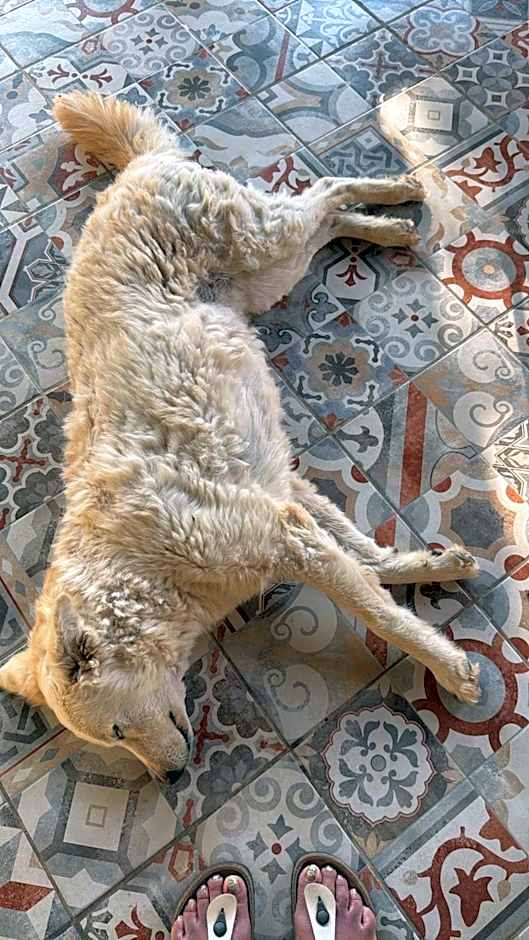 Cozzo Spadaro B&B OnlyRooms