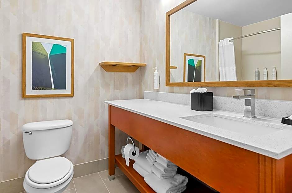 Hampton Inn Houston-Willowbrook Mall