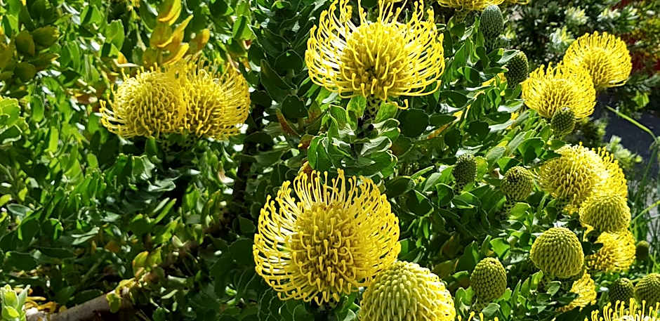 Albany Holiday Units