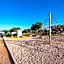 Terra Park Phalaris