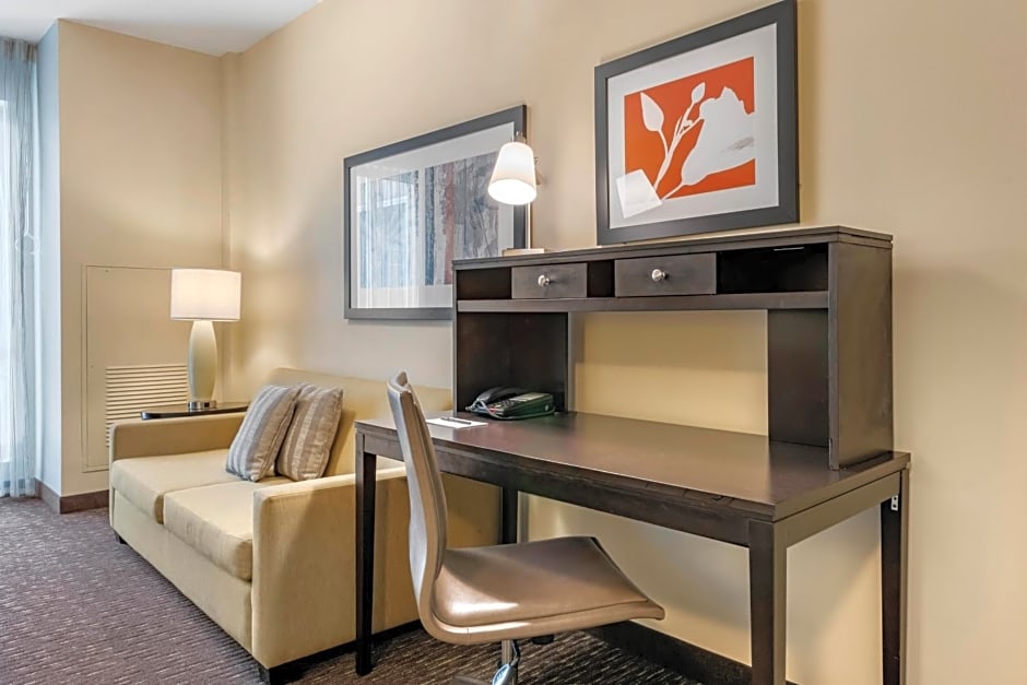 Staybridge Suites St. Petersburg FL By IHG