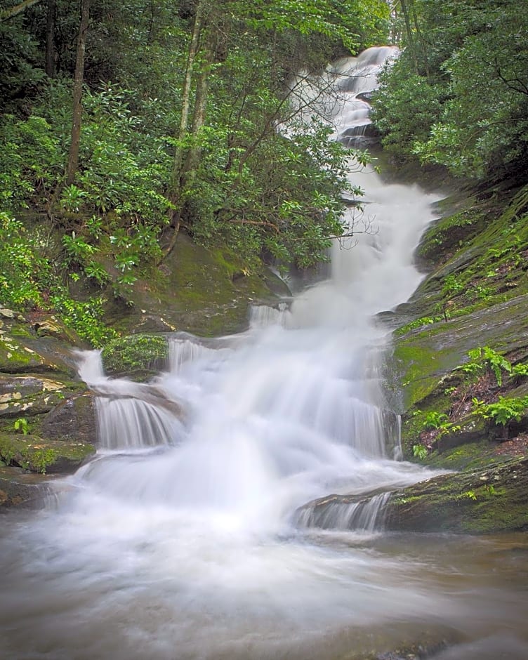 Mt Mitchell Cabin Rentals