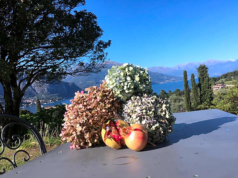 Il Poggio Di Bellagio