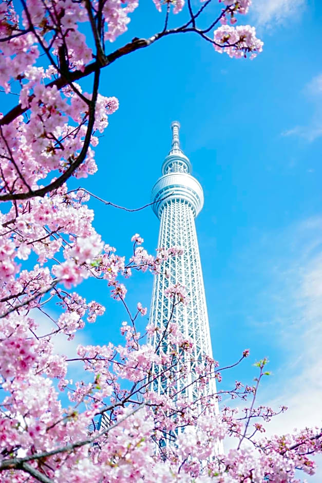 Tokyo Cherry Blooming Hotel Ueno 东京超级中心上野公园3分钟 地铁1分钟 位置绝佳超级繁华 免费wifi Dyson吹风机COA
