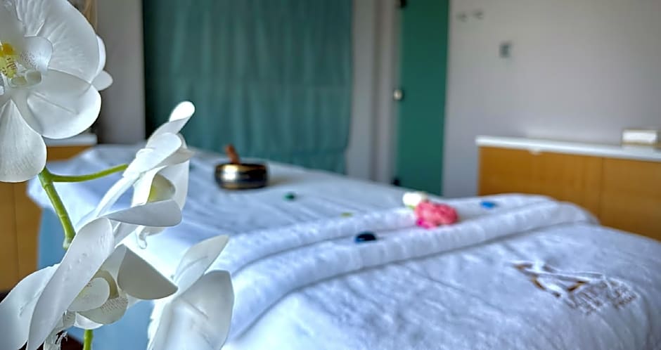 Pullman Jumeirah Lakes Towers Hotel and Residence
