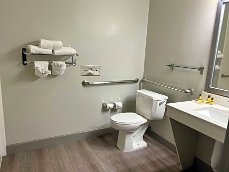 1 KING BED,MOBACC,COMM ASSIST,BATH,WHIRL,NSMK,FULL BREAKFAST