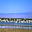 Holiday Inn Express & Suites Brigham City - North Utah By IHG