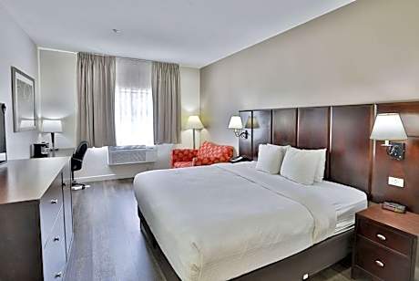 1 King Bed Non-Smoking