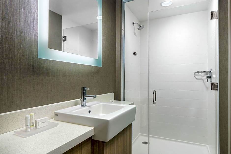 SpringHill Suites by Marriott Philadelphia West Chester/Exton