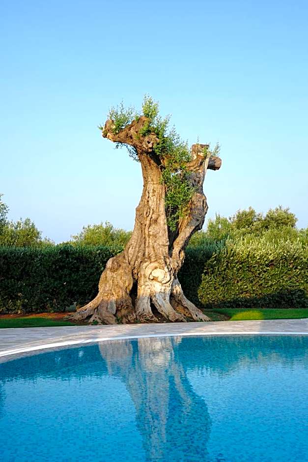 L'Ulivo Bed and Breakfast