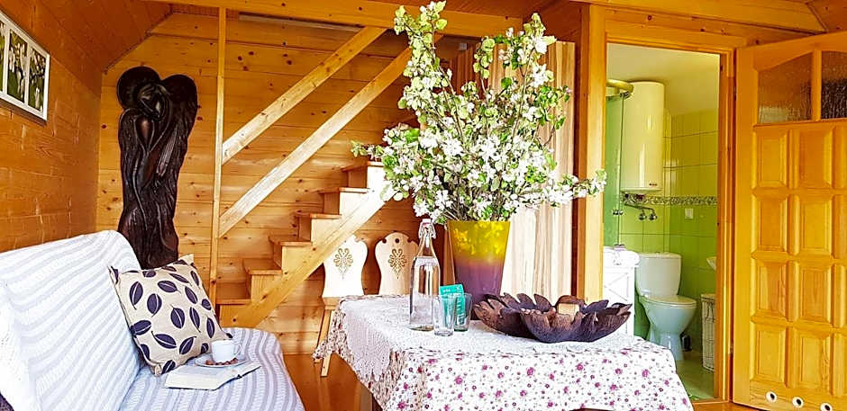 Zielone Wzgórza - Centrum Soliny - SPA