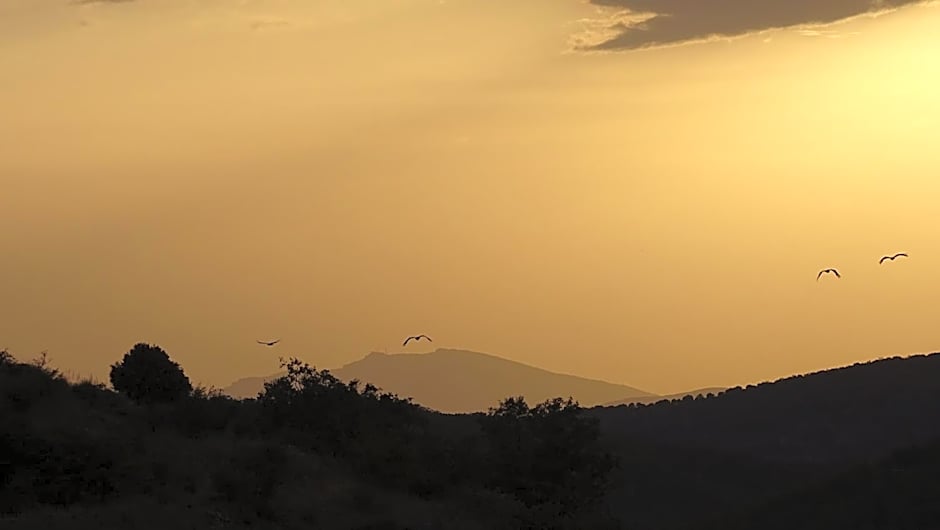 Hotel Cardamomo Sigüenza