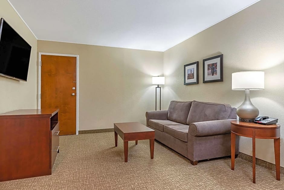 Comfort Inn & Suites Clemson - University Area 